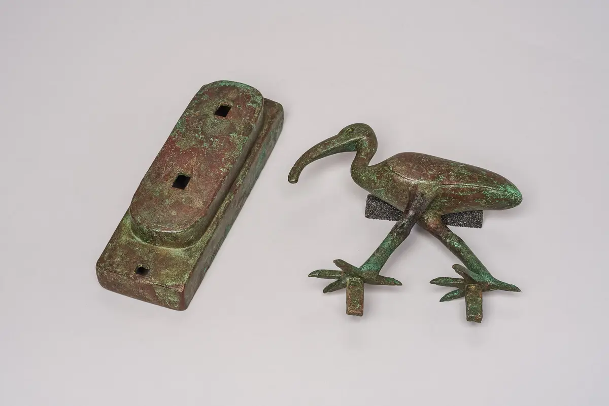 Schreitender Ibis