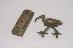 Schreitender Ibis