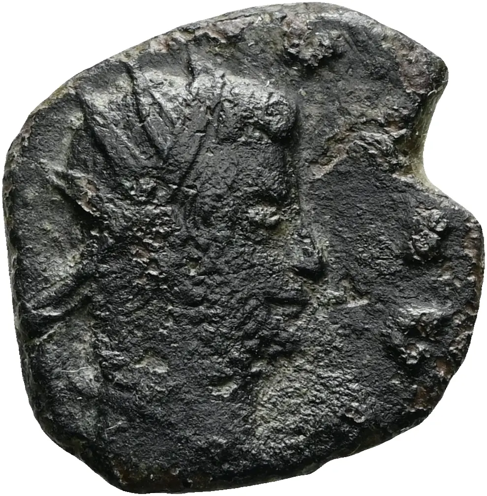 Münze