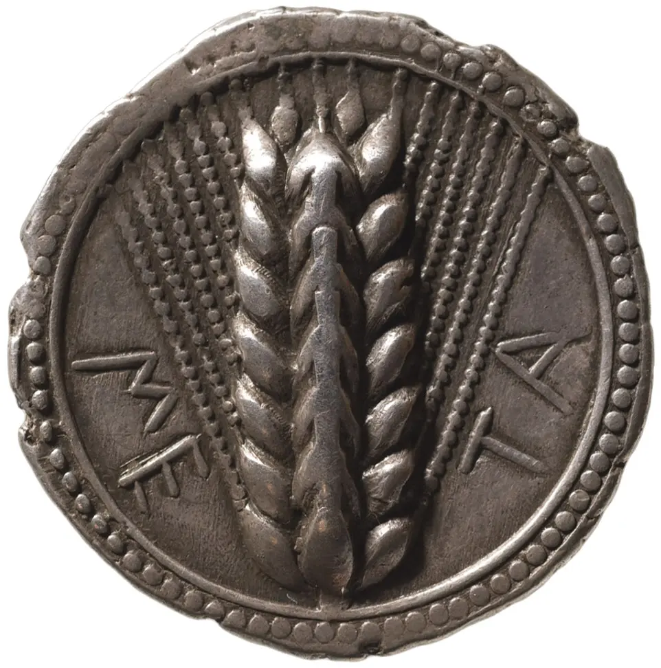Metapont
