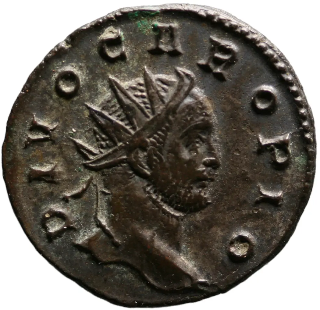 Divus Carus