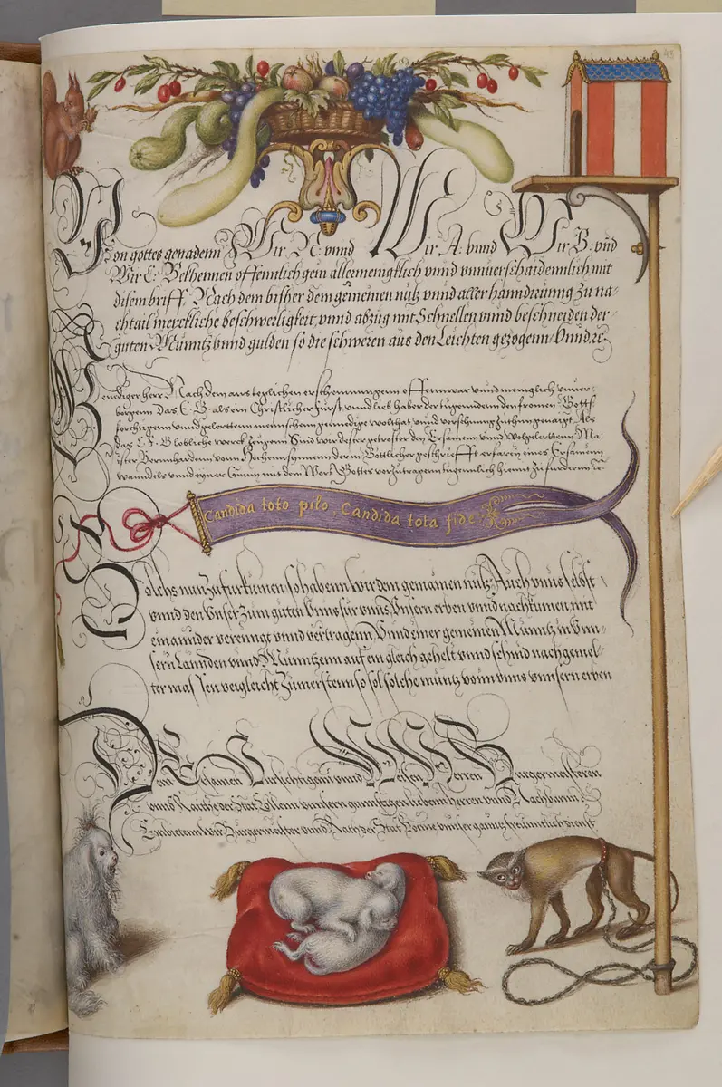 Schriftmusterbuch; 127 Blatt Pergament