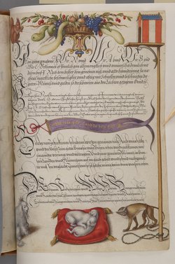 Schriftmusterbuch; 127 Blatt Pergament