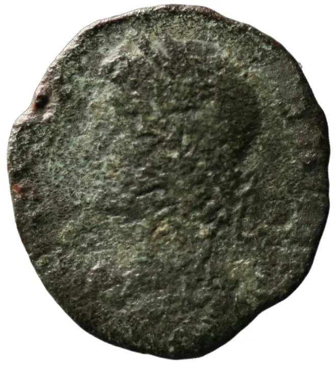 Constans