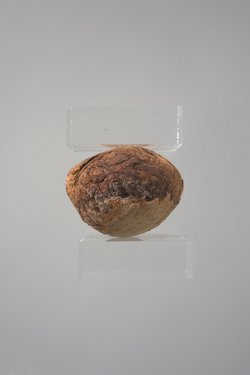Leinenwicklung in Form eines menschlichen Herzens