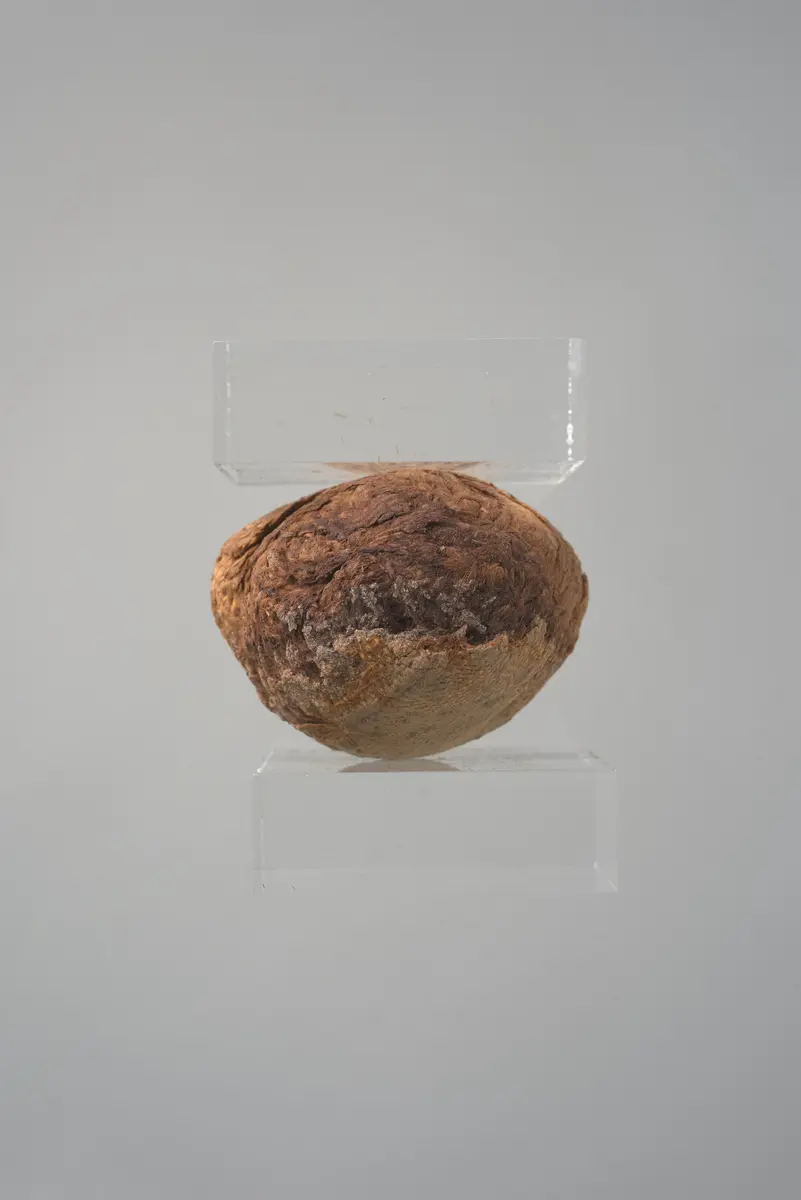 Leinenwicklung in Form eines menschlichen Herzens