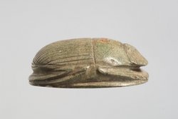 Herzskarabäus