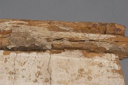 Schmalwand des Haussarges der Pai-es-tjau-em-aui-anu