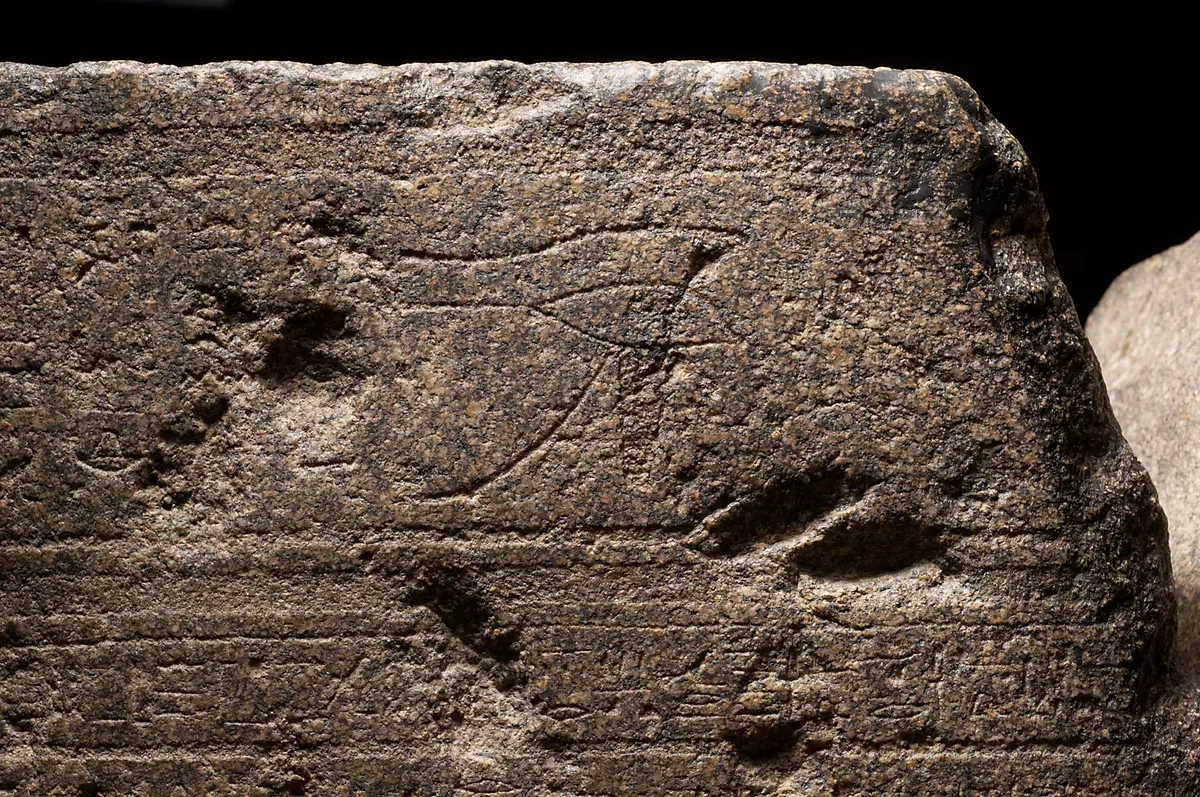Unterteil des Sarkophags des In-her-nechet