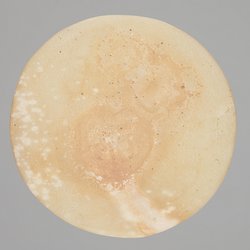 Kleiner Speisetisch