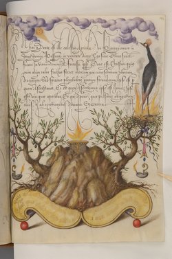 Schriftmusterbuch; 127 Blatt Pergament