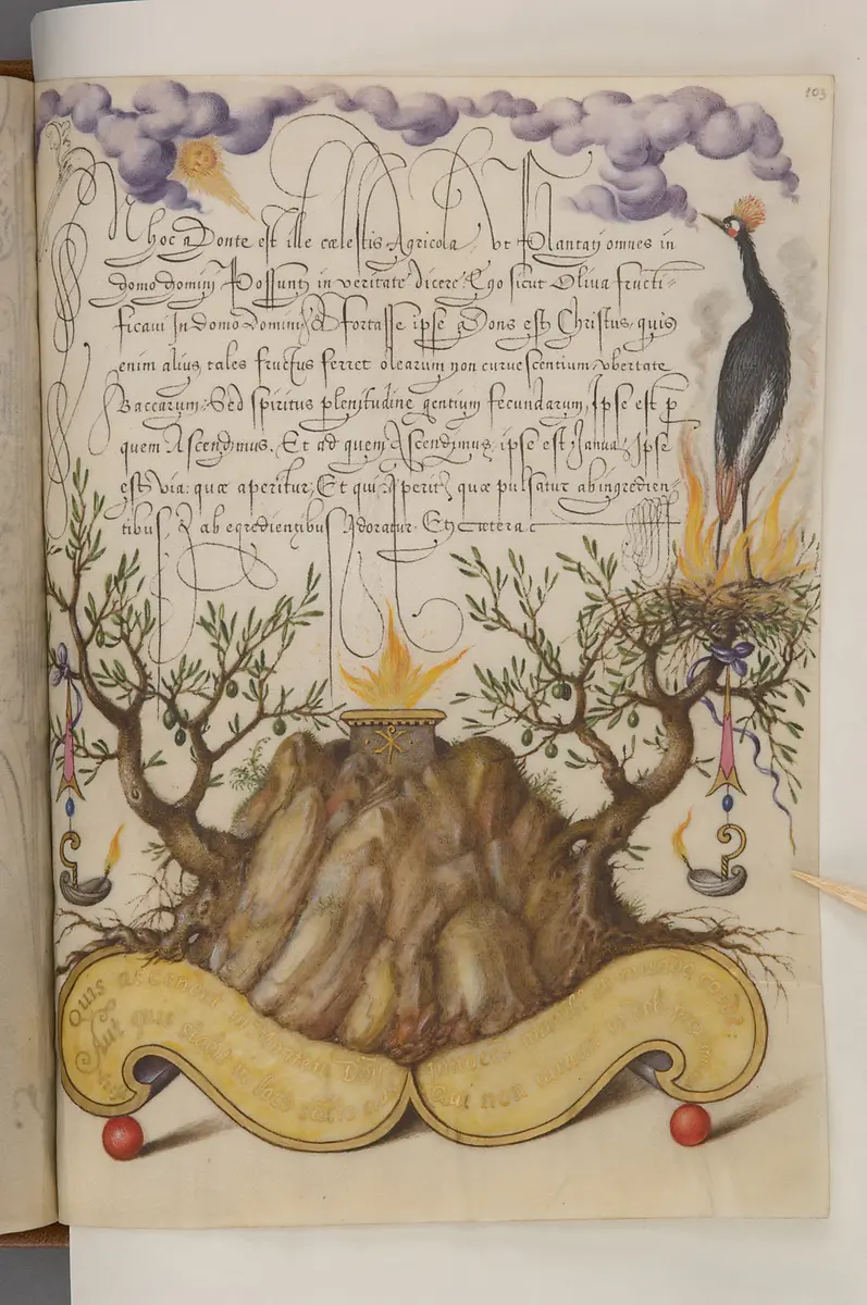 Schriftmusterbuch; 127 Blatt Pergament