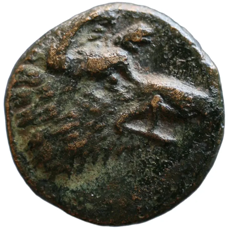 Adaios