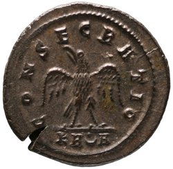 Divus Carus