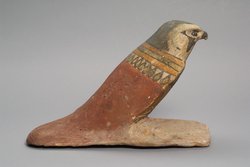 Achom-Falke