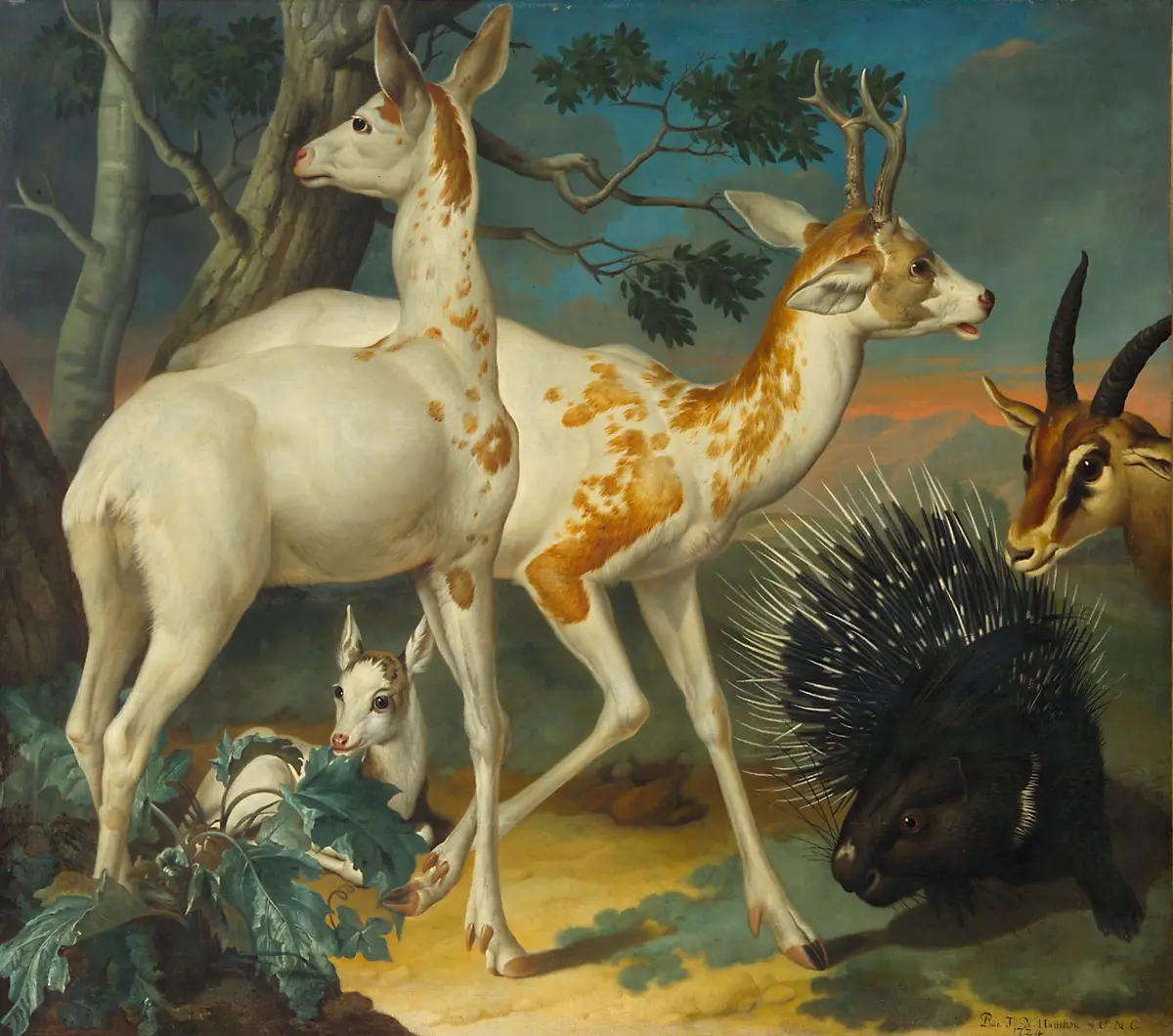 Weiße gefleckte Rehe und ein Stachelschwein
