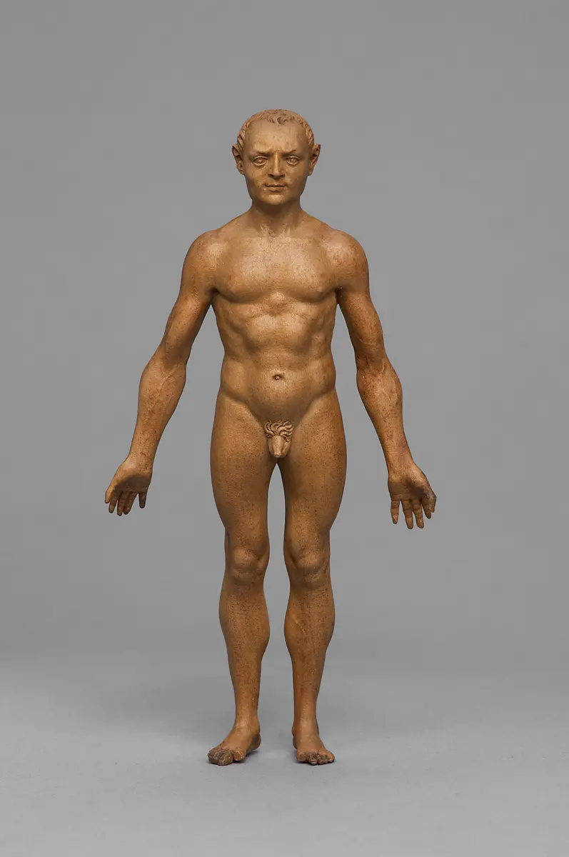 Nackter Mann, Proportionsfigur