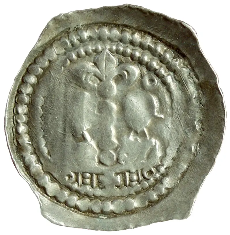Herzöge von Kärnten / Herren von Krain: Bernhard (1202–1256)