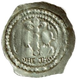 Herzöge von Kärnten / Herren von Krain: Bernhard (1202–1256)