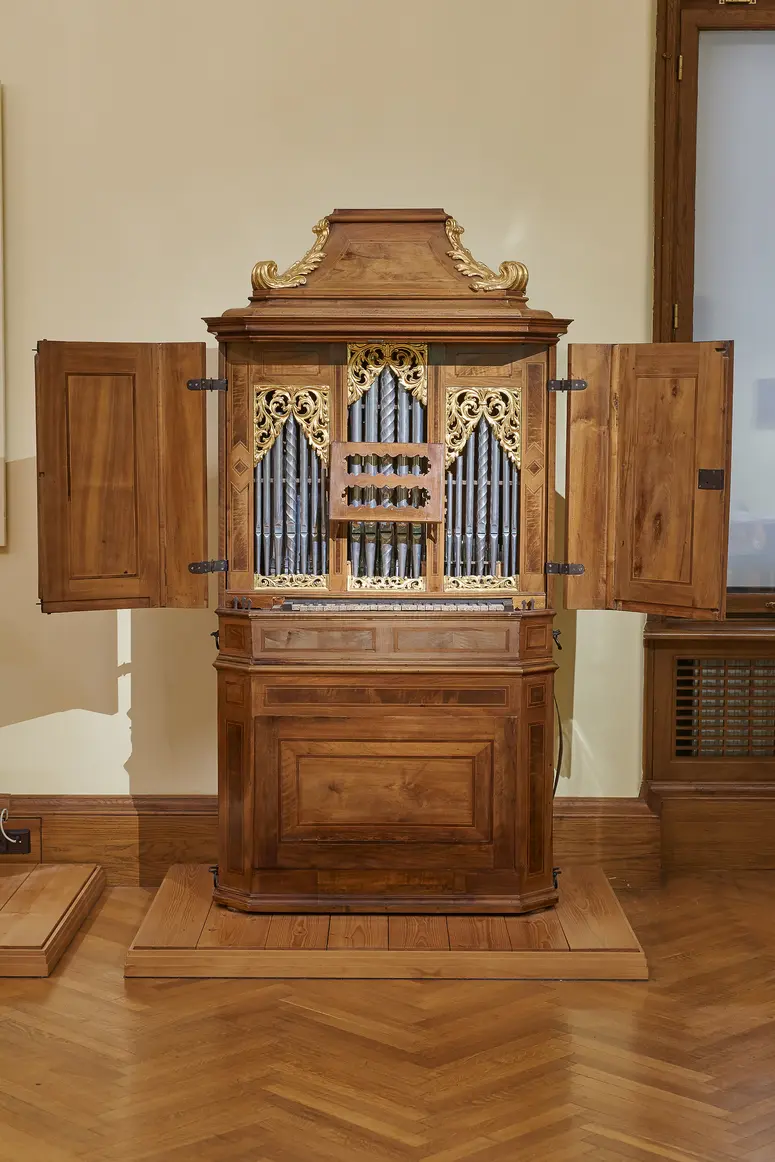 Positive organ