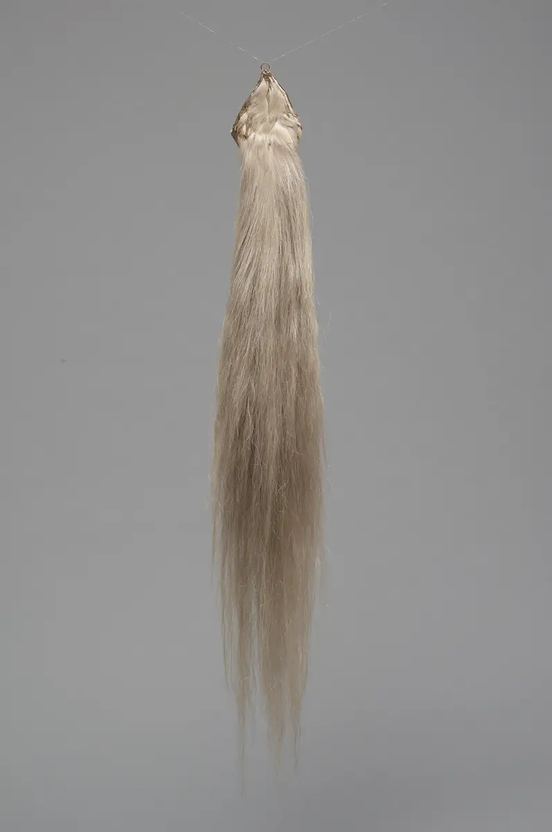 Tail of “Cerbero”, the white Coronation Horse