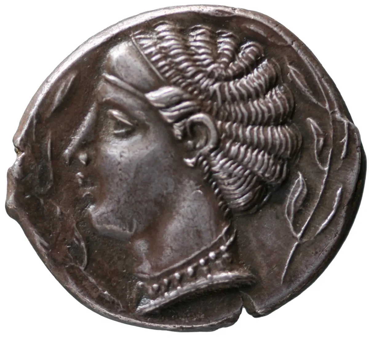 Terina
