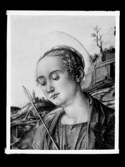 Altarwerk: Madonna mit Heiligen