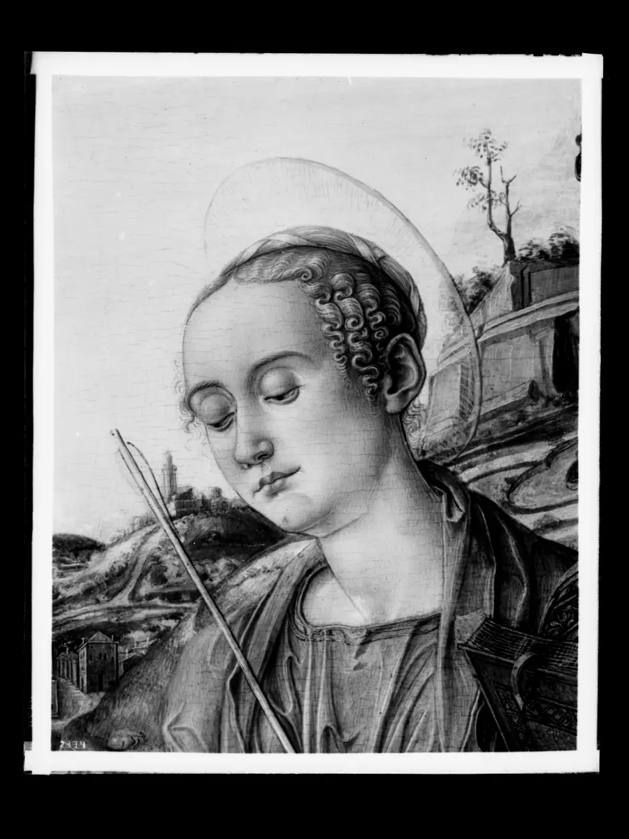 Altarwerk: Madonna mit Heiligen