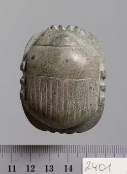 Herzskarabäus
