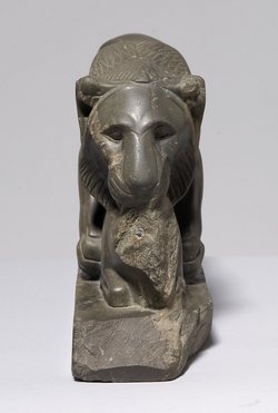 Löwe, der ein Rind reißt