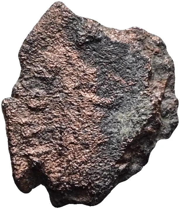 Constans