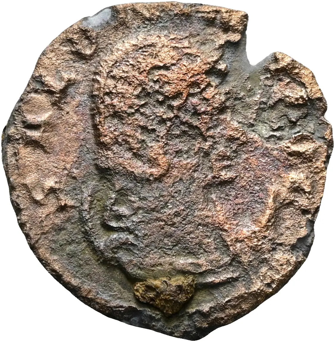 Salonina