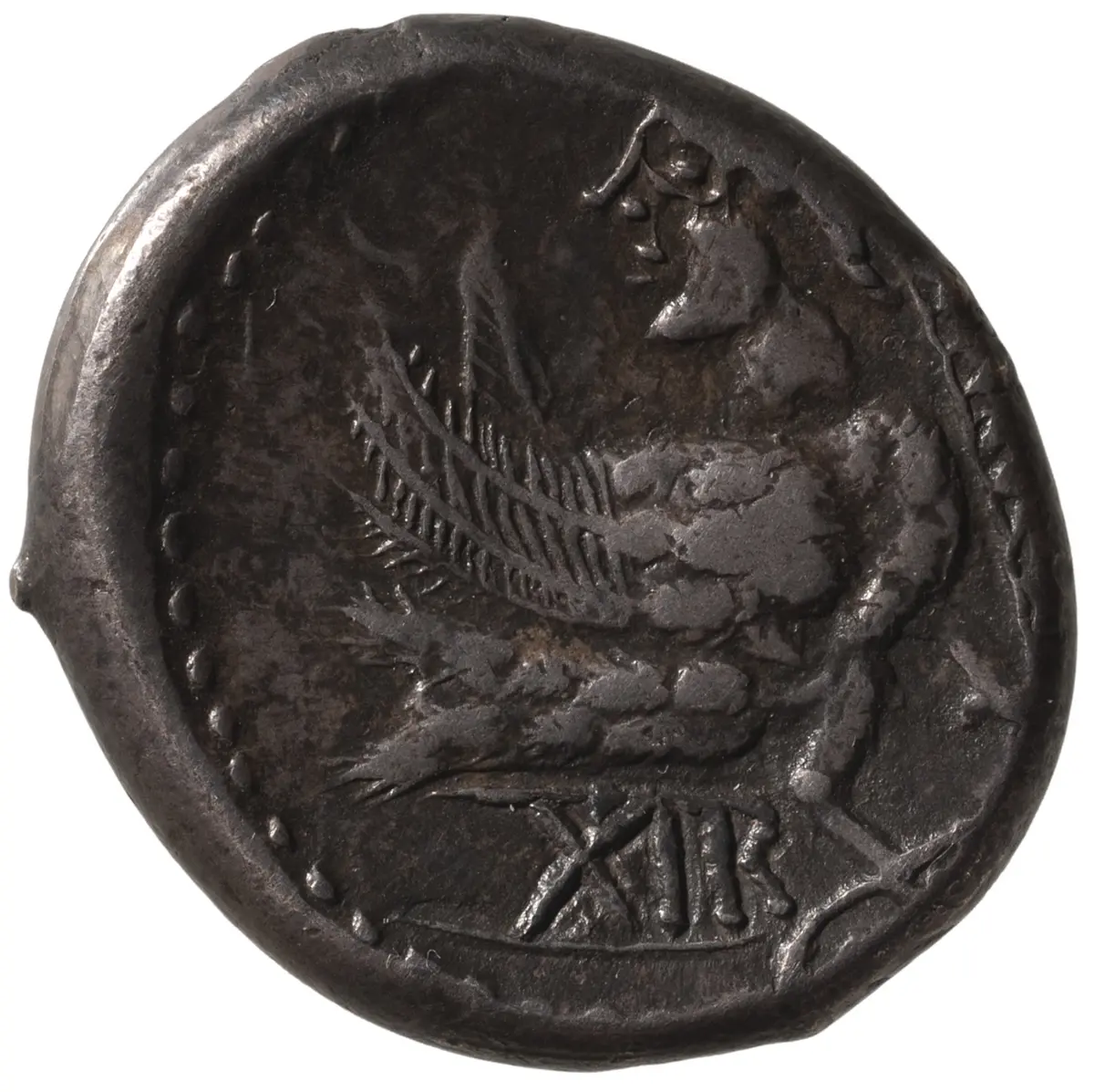 Boier: AINORIX