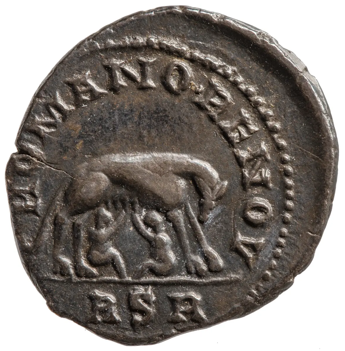 Carausius