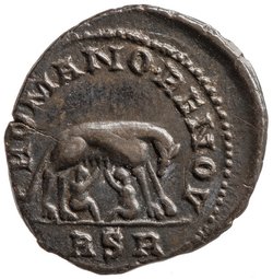 Carausius