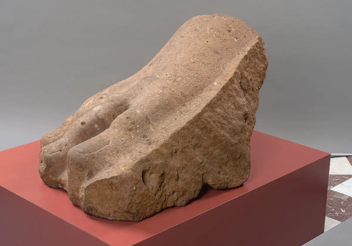 Rechter Vorderfuß einer Kolossalstatue