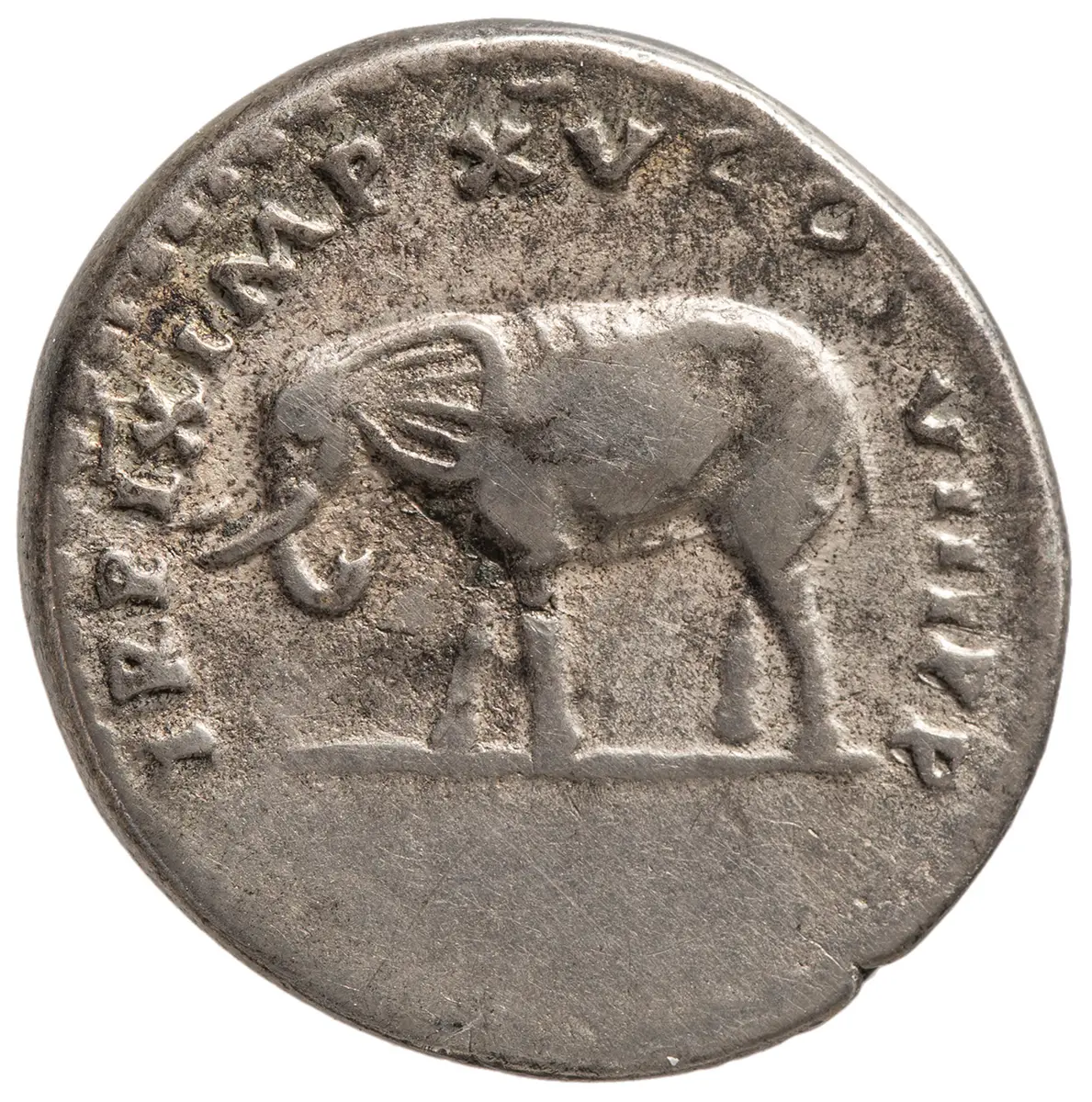 Titus