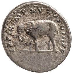 Titus