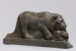 Löwe, der ein Rind reißt