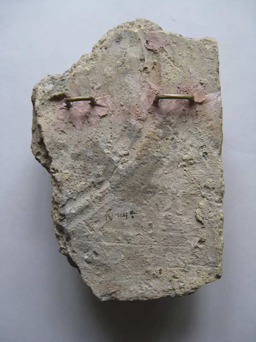 Fragment einer Verkleidungsplatte(?): Raubtier, einen Wagen ziehend