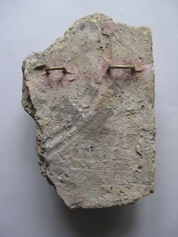 Fragment einer Verkleidungsplatte(?): Raubtier, einen Wagen ziehend