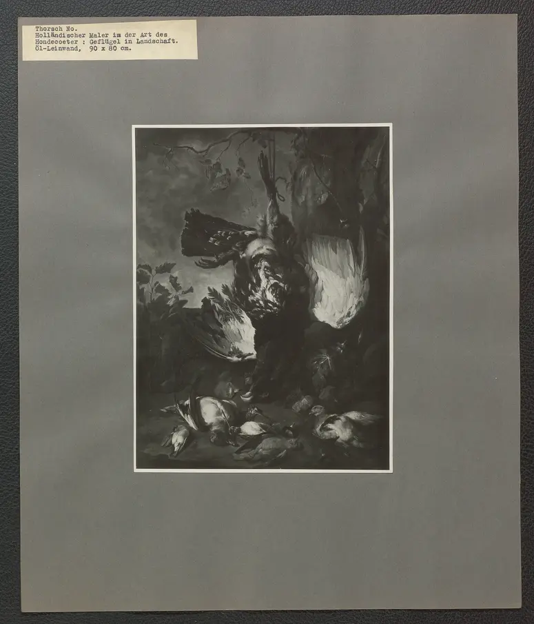 Holländischer Maler in der Art des Hondecoeter. Geflügel in Landschaft. Öl-Leinwand 90 x 80 cm