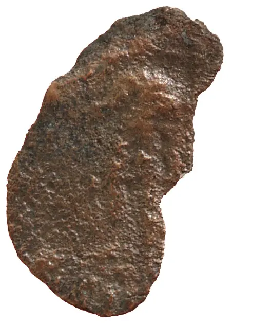 Constantius II. für Iulianus III. oder Iulianus III.