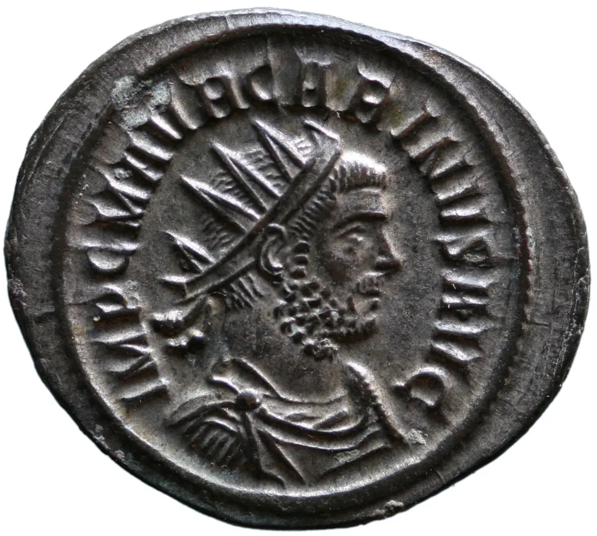 Carinus