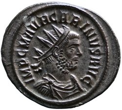 Carinus