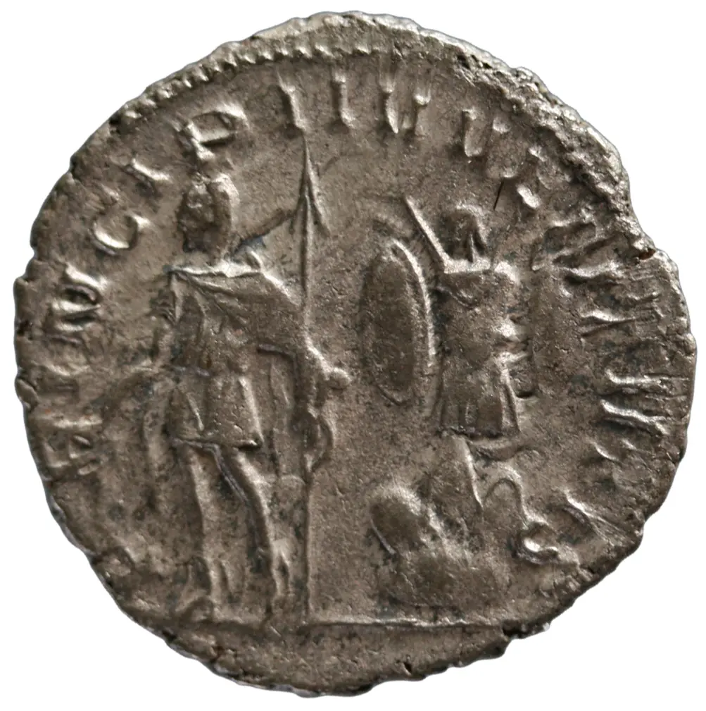 Saloninus