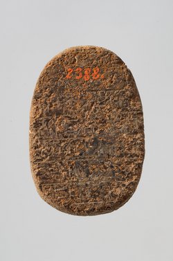Herzskarabäus
