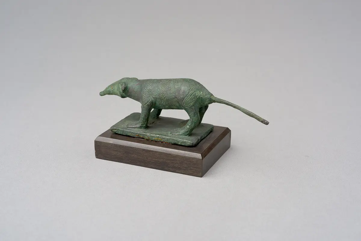 Spitzmaus