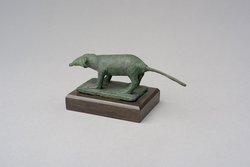Spitzmaus