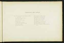 Das Heroon von Gjölbaschi-Trysa : Tafeln